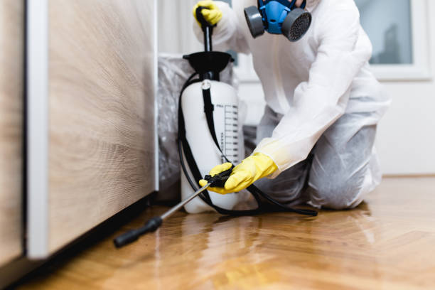 Pest Prevention Services in Summerville, GA