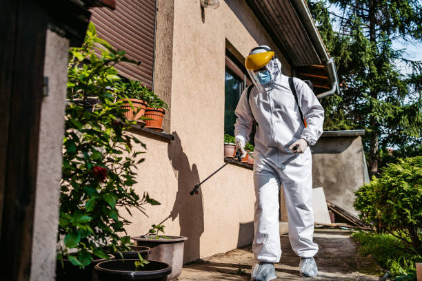 Best Termite Control Services  in Summerville, GA