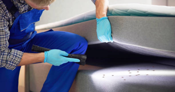 Best Best Pest Control Companies  in Summerville, GA