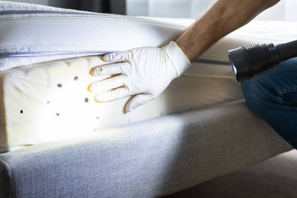 Best Pest Removal Services  in Summerville, GA