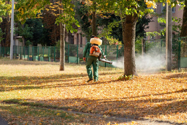 Best Pest Inspection Near Me  in Summerville, GA