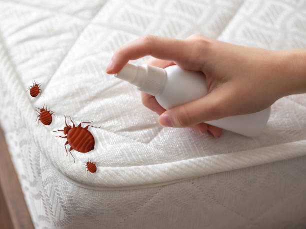 Best Exterminator Services  in Summerville, GA