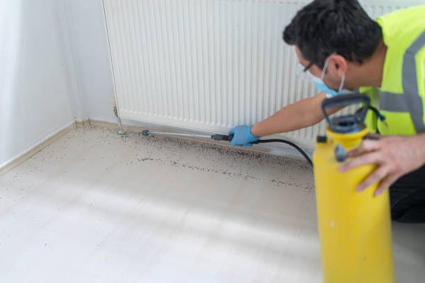 Professional Pest Control in Summerville, GA
