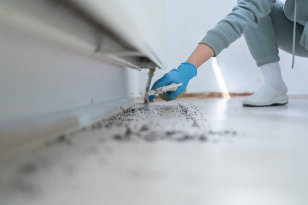 Professional Pest Control in Summerville, GA