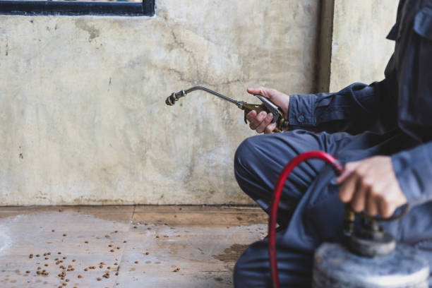 Best Flea Control Services  in Summerville, GA